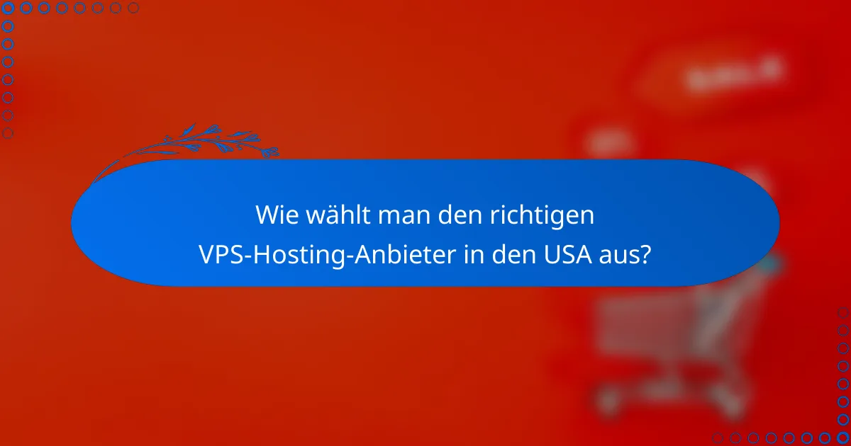 Wie wählt man den richtigen VPS-Hosting-Anbieter in den USA aus?